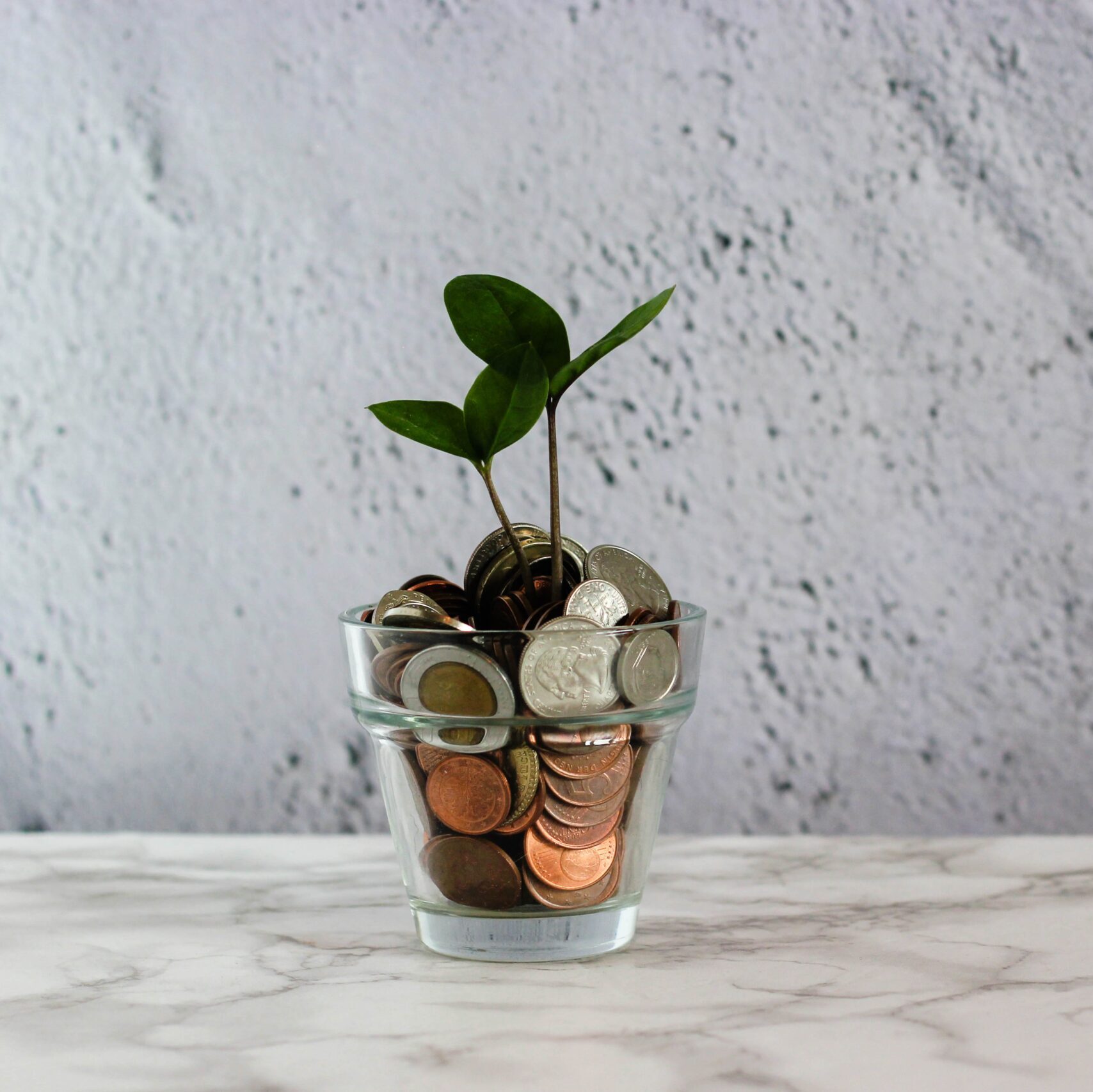 A plant with coins instead of soil